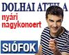 Dolhai Attila nyári nagykoncert